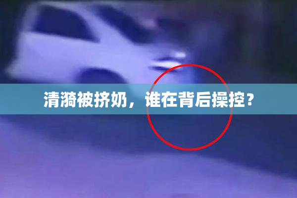 清漪被挤奶，谁在背后操控？