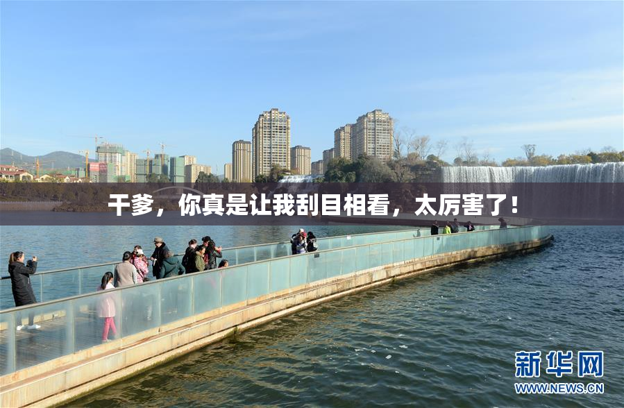 干爹，你真是让我刮目相看，太厉害了！