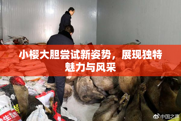 小樱大胆尝试新姿势，展现独特魅力与风采
