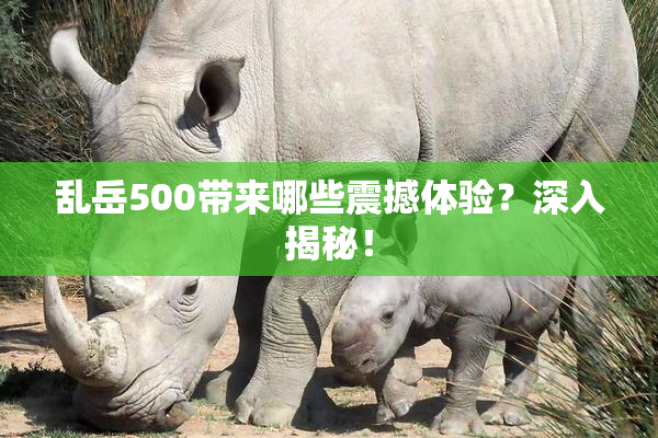乱岳500带来哪些震撼体验？深入揭秘！