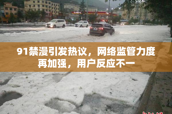 91禁漫引发热议，网络监管力度再加强，用户反应不一