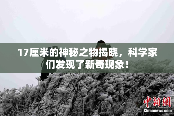 17厘米的神秘之物揭晓，科学家们发现了新奇现象！