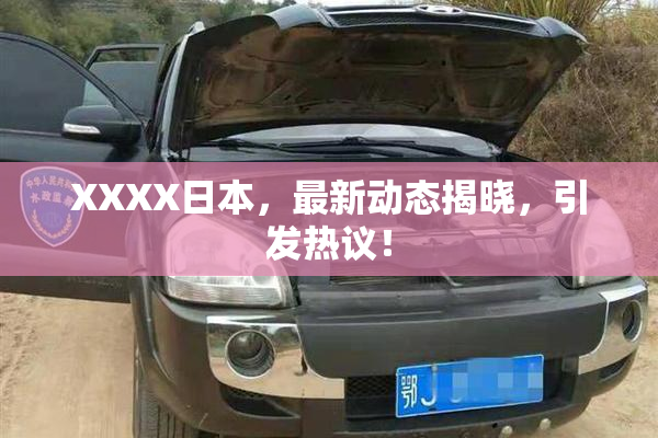 XXXX日本，最新动态揭晓，引发热议！