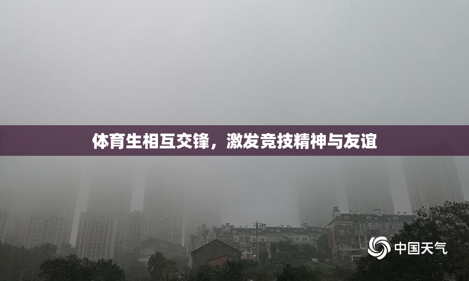 体育生相互交锋，激发竞技精神与友谊