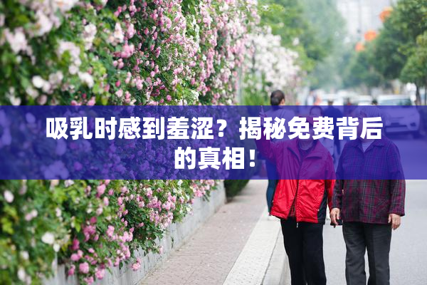 吸乳时感到羞涩？揭秘免费背后的真相！