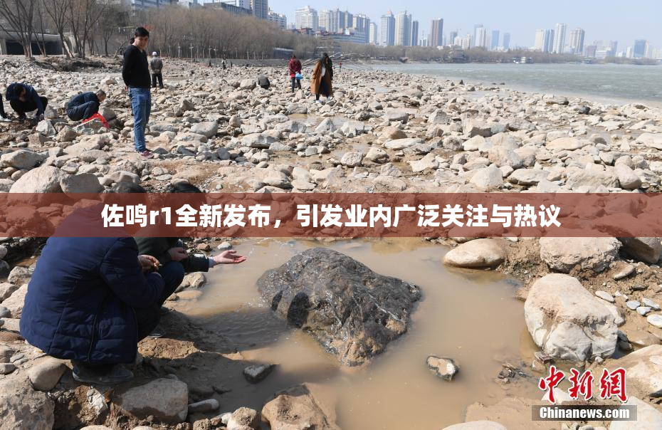 佐鸣r1全新发布，引发业内广泛关注与热议