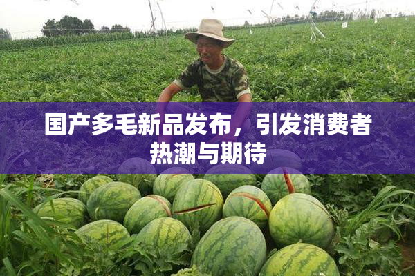 国产多毛新品发布，引发消费者热潮与期待