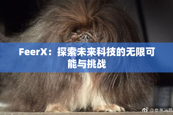 FeerX：探索未来科技的无限可能与挑战