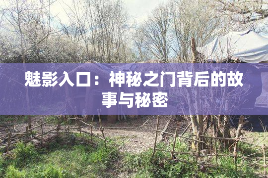 魅影入口：神秘之门背后的故事与秘密