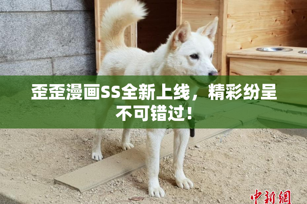 歪歪漫画SS全新上线，精彩纷呈不可错过！