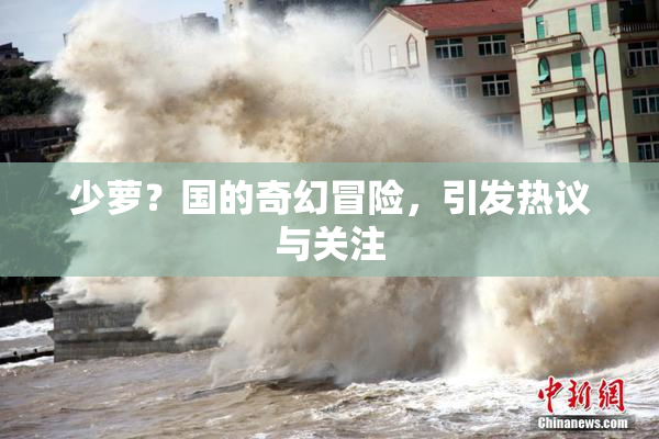 少萝？国的奇幻冒险，引发热议与关注