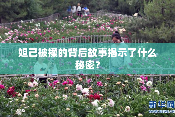 妲己被揉的背后故事揭示了什么秘密？