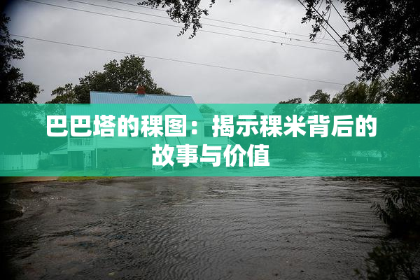 巴巴塔的稞图：揭示稞米背后的故事与价值