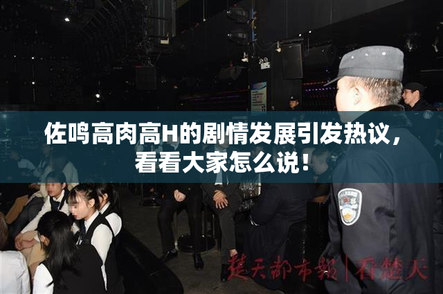 佐鸣高肉高H的剧情发展引发热议，看看大家怎么说！