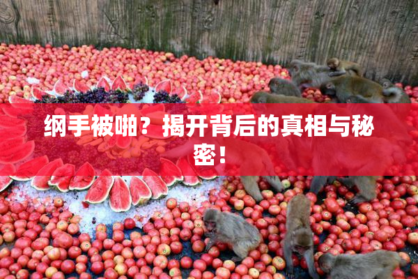 纲手被啪？揭开背后的真相与秘密！