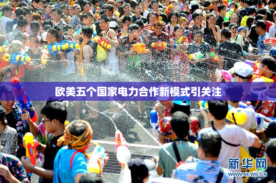 欧美五个国家电力合作新模式引关注