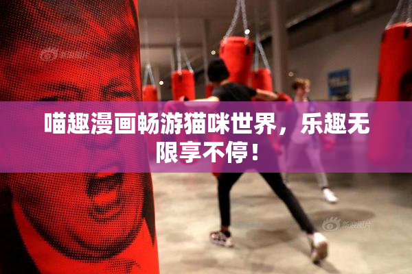 喵趣漫画畅游猫咪世界，乐趣无限享不停！