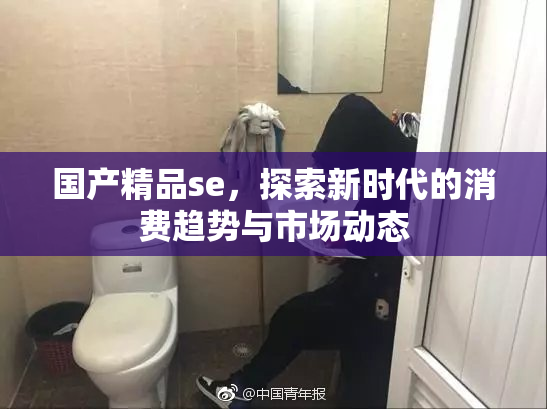 国产精品se，探索新时代的消费趋势与市场动态