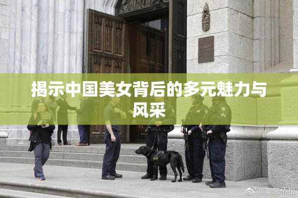 揭示中国美女背后的多元魅力与风采