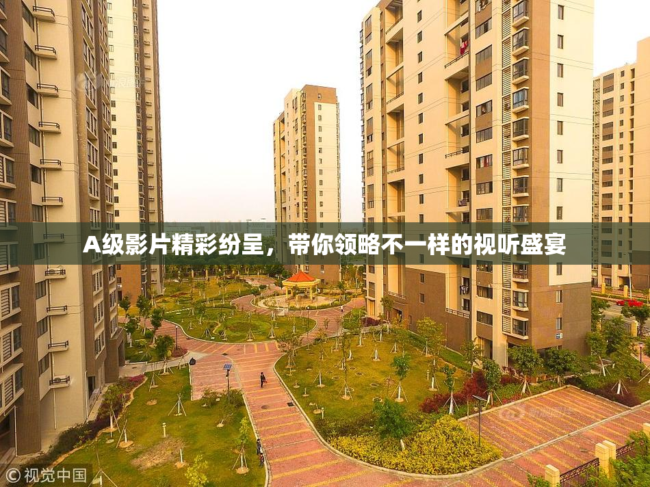 A级影片精彩纷呈，带你领略不一样的视听盛宴