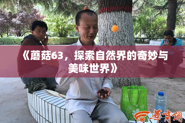 《蘑菇63，探索自然界的奇妙与美味世界》