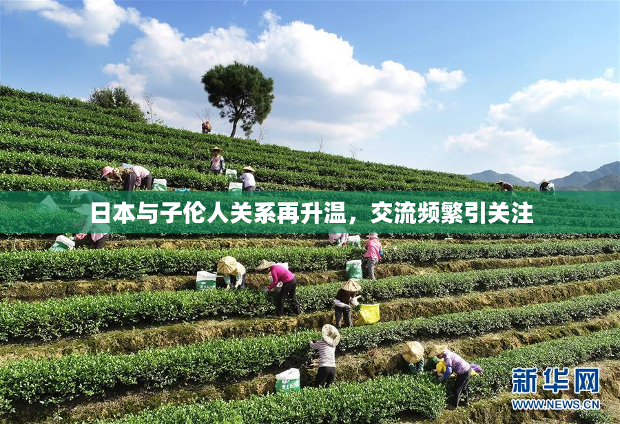 日本与子伦人关系再升温，交流频繁引关注