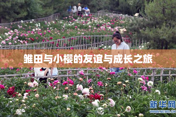 雏田与小樱的友谊与成长之旅