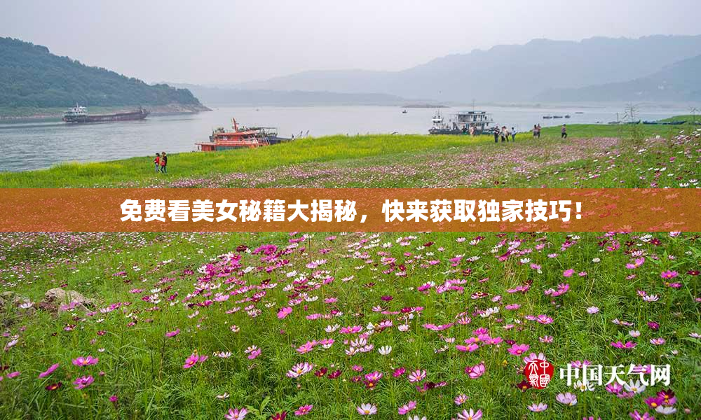 免费看美女秘籍大揭秘，快来获取独家技巧！