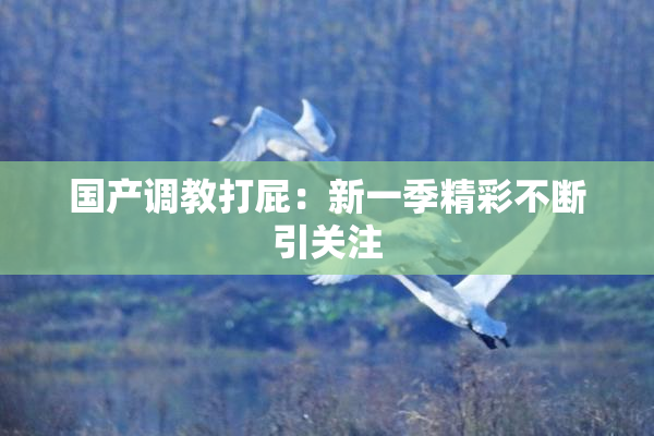 国产调教打屁：新一季精彩不断引关注