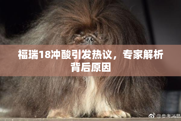 福瑞18冲酸引发热议，专家解析背后原因