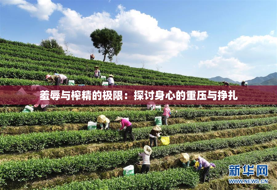 羞辱与榨精的极限：探讨身心的重压与挣扎