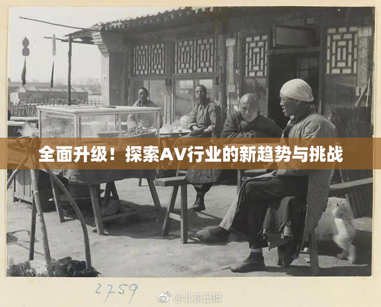 全面升级！探索AV行业的新趋势与挑战