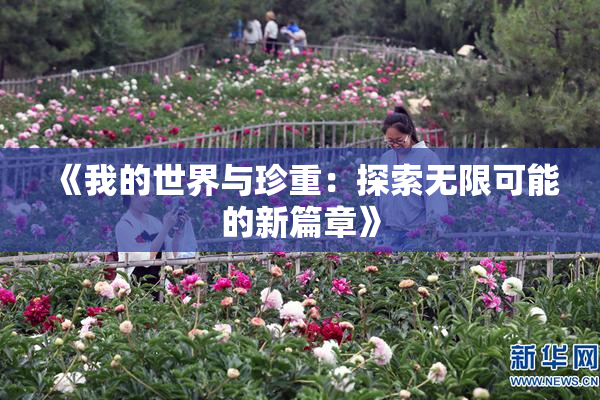 《我的世界与珍重：探索无限可能的新篇章》