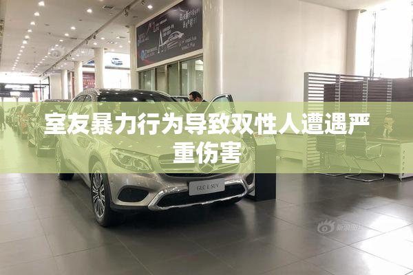 室友暴力行为导致双性人遭遇严重伤害