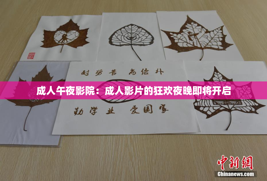 成人午夜影院：成人影片的狂欢夜晚即将开启