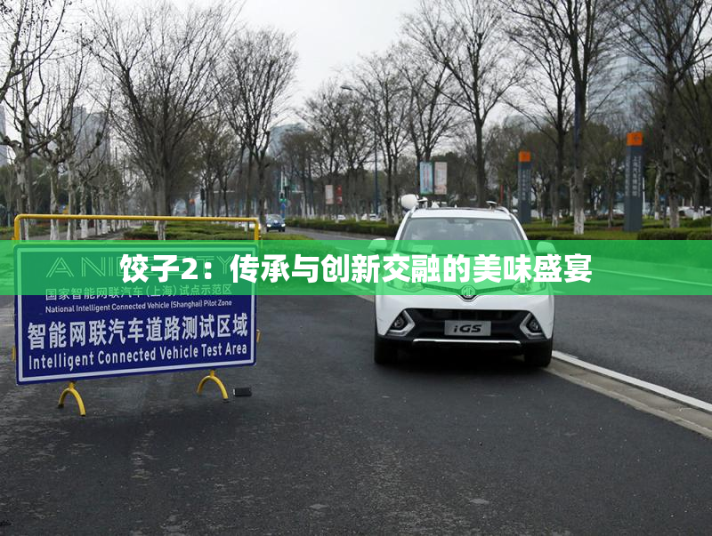 饺子2：传承与创新交融的美味盛宴