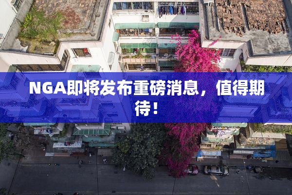 NGA即将发布重磅消息，值得期待！