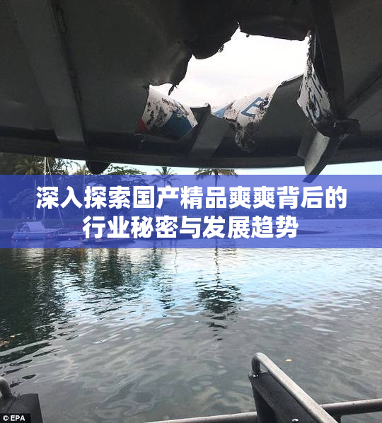深入探索国产精品爽爽背后的行业秘密与发展趋势