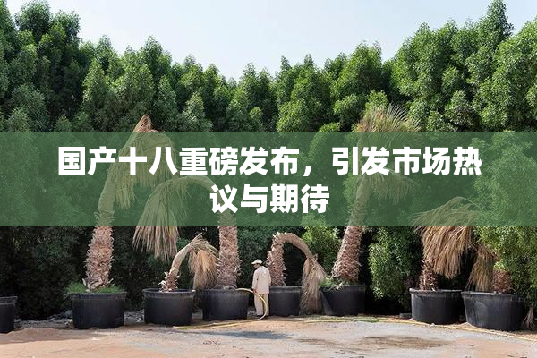 国产十八重磅发布，引发市场热议与期待