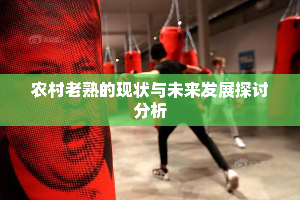 农村老熟的现状与未来发展探讨分析