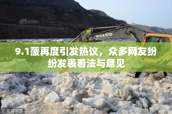 9.1菠再度引发热议，众多网友纷纷发表看法与意见