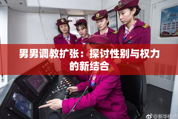 男男调教扩张：探讨性别与权力的新结合