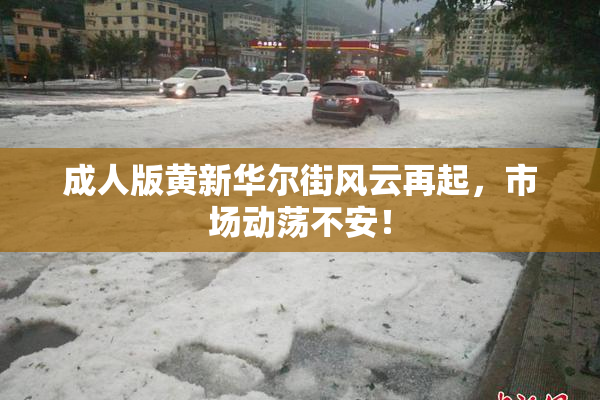 成人版黄新华尔街风云再起，市场动荡不安！