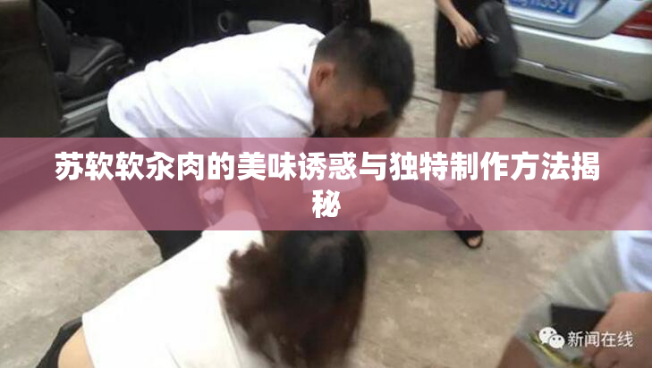 苏软软汆肉的美味诱惑与独特制作方法揭秘