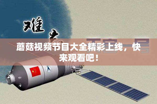 蘑菇视频节目大全精彩上线，快来观看吧！