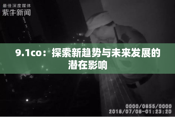 9.1co：探索新趋势与未来发展的潜在影响