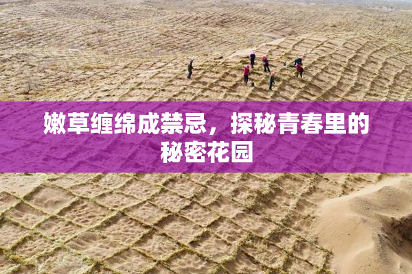 嫩草缠绵成禁忌，探秘青春里的秘密花园