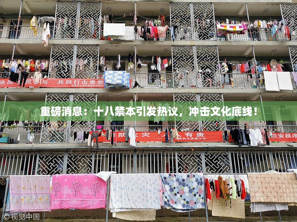 重磅消息：十八禁本引发热议，冲击文化底线！