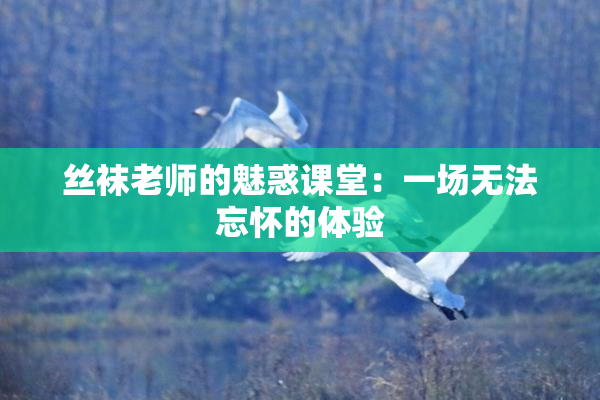 丝袜老师的魅惑课堂：一场无法忘怀的体验