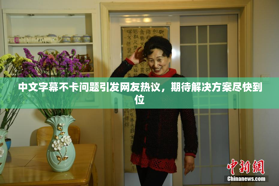 中文字幕不卡问题引发网友热议，期待解决方案尽快到位